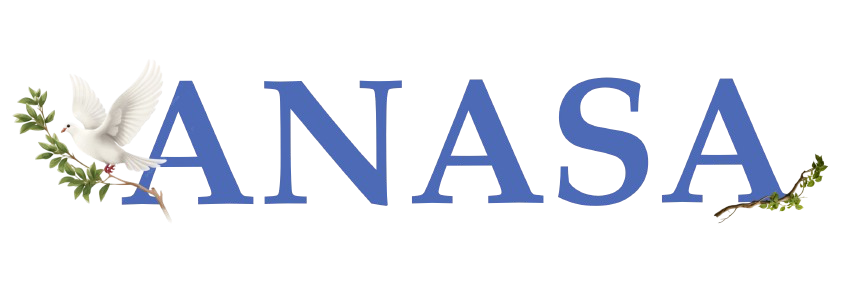Anasa Food